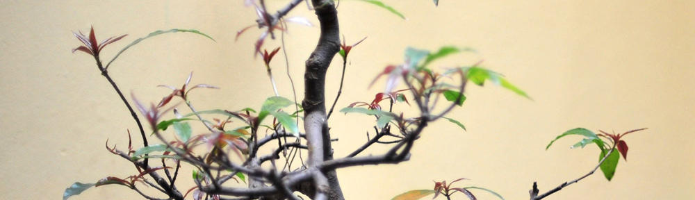 JazzSkills For Piano